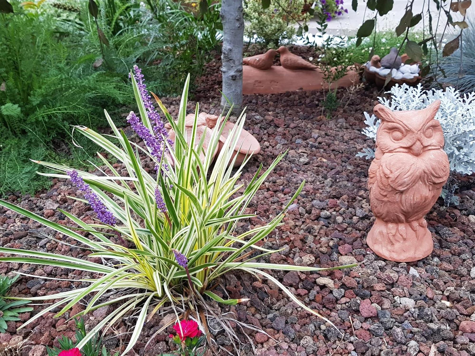 Вилла Nel Giardino Di Dafne Стреза Экстерьер фото